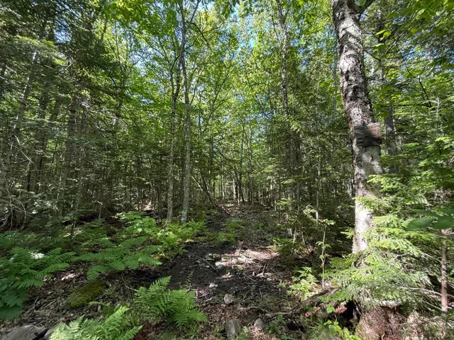 $199,900 | 431 Houlton Road, Island Falls, ME 04747