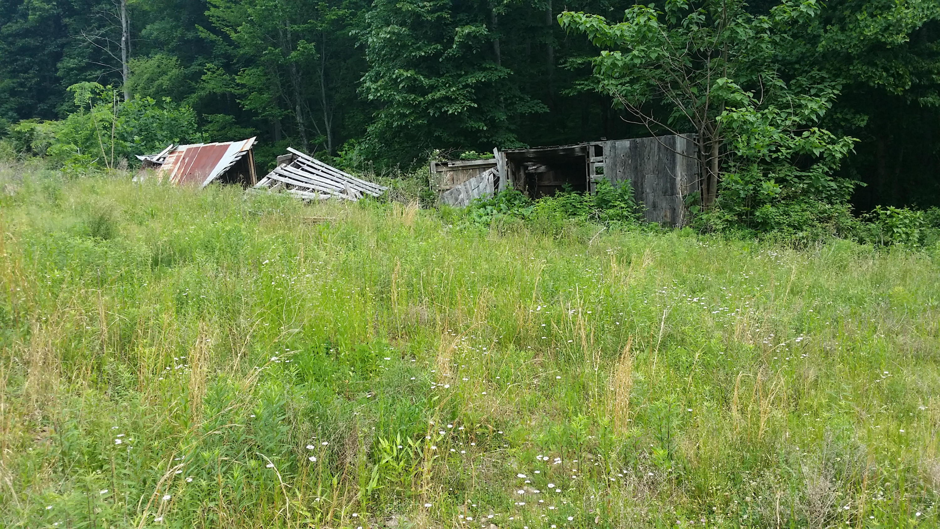 1425 Adney Gap Road Callaway, VA 24067 - Photo 11 of 35 a backyard of a house with lots of green space and plants