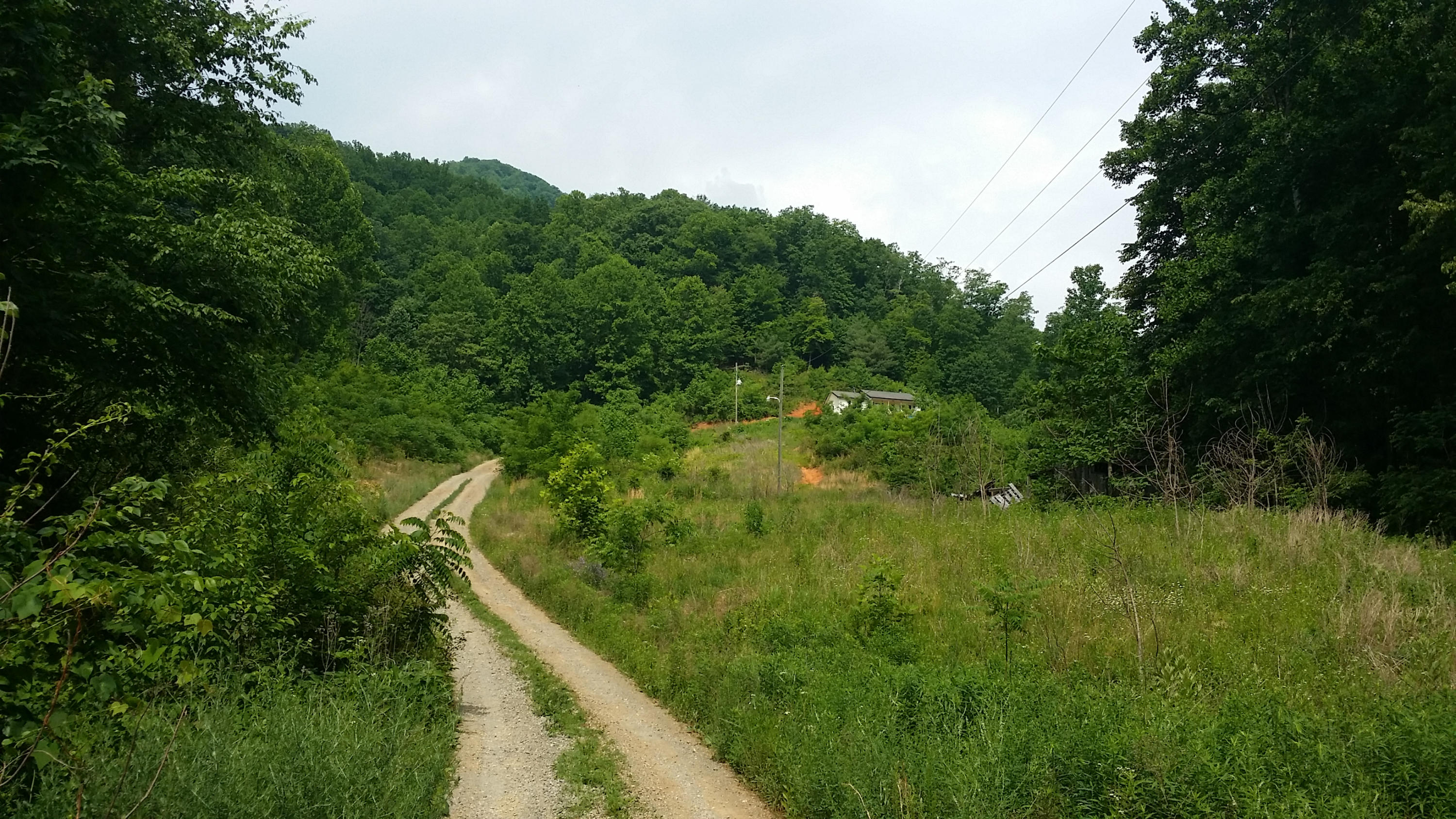 1425 Adney Gap Road Callaway, VA 24067 - Photo 17 of 35 a view of a lush green forest with lots of trees