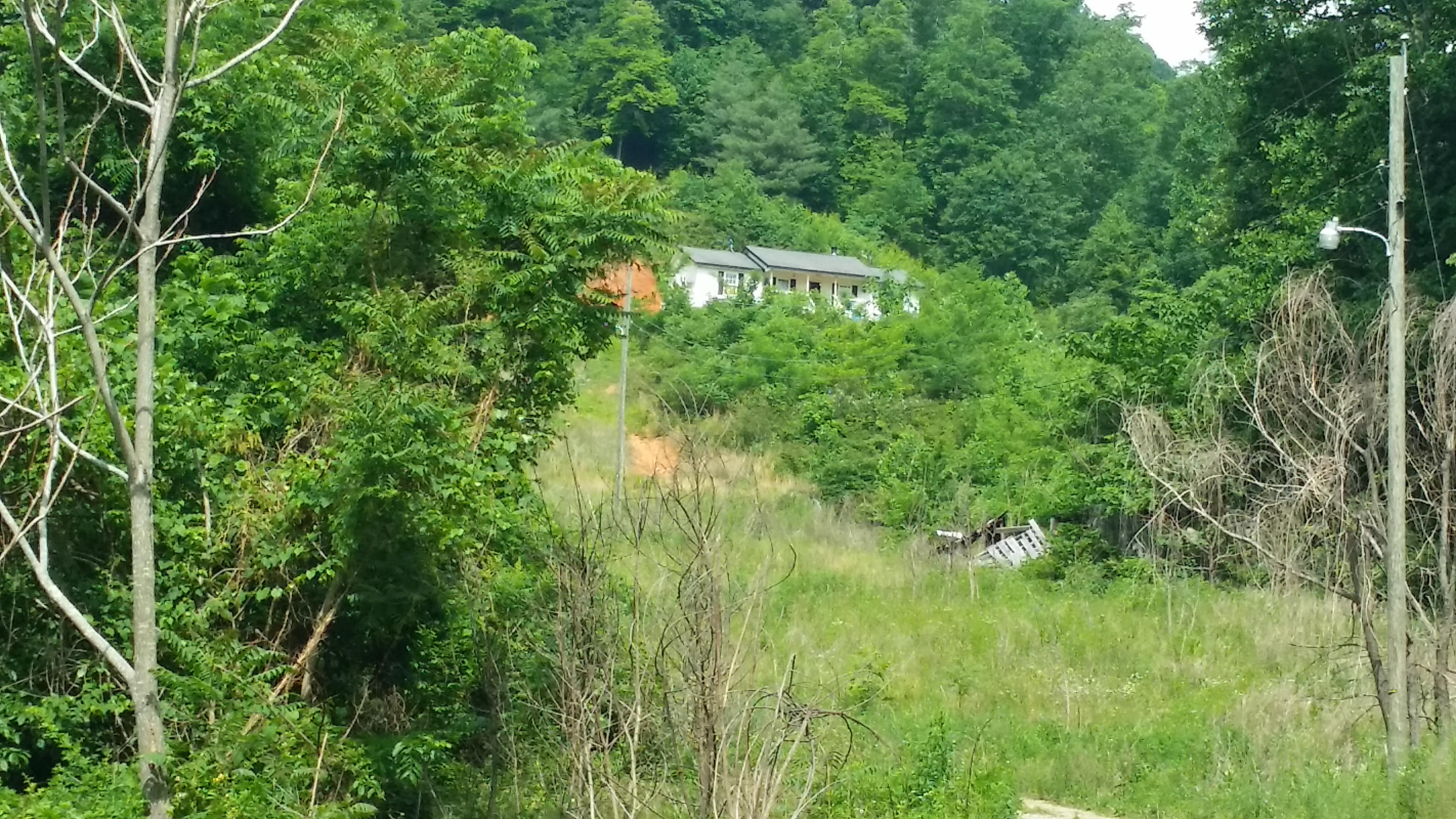 1425 Adney Gap Road Callaway, VA 24067 - Photo 20 of 35 a view of a lush green forest