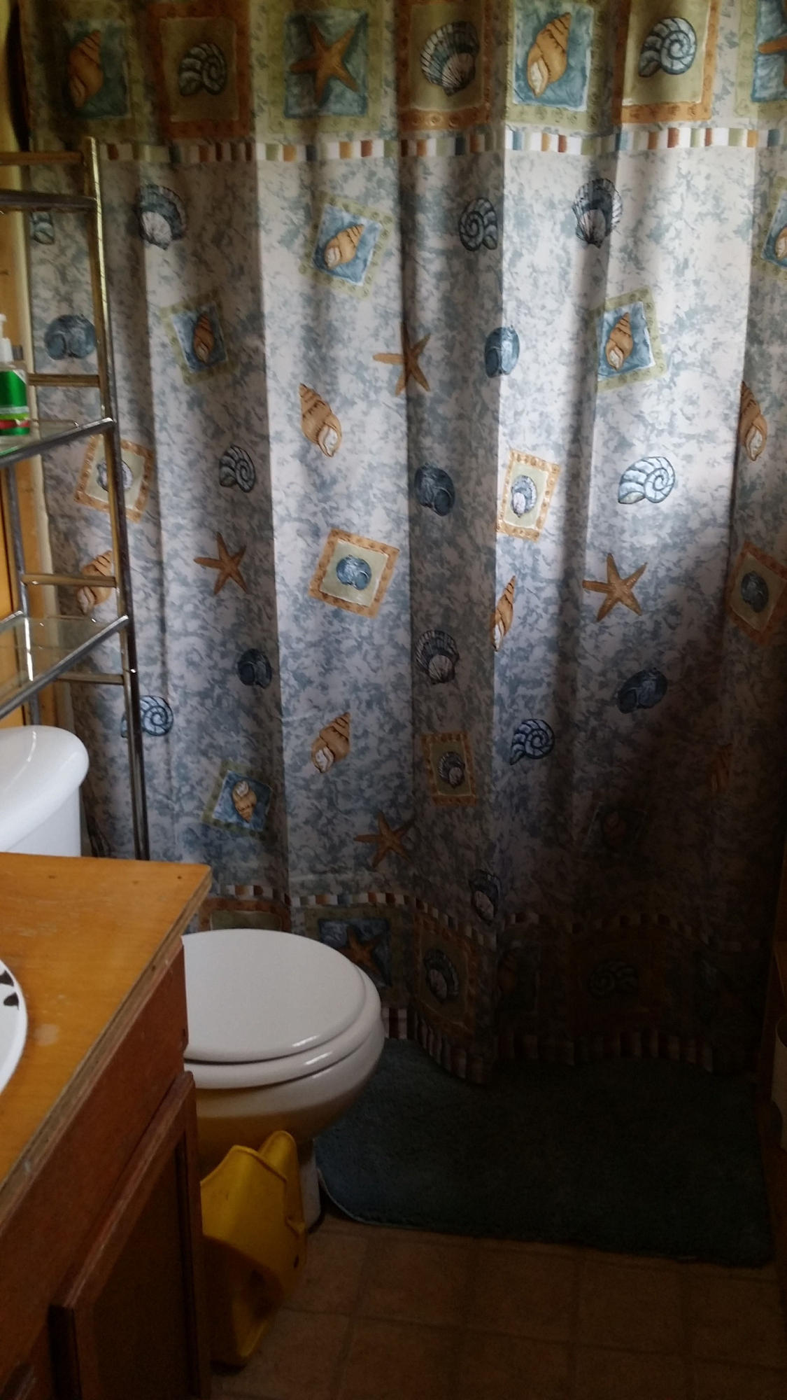 1425 Adney Gap Road Callaway, VA 24067 - Photo 35 of 35 a bathroom with a toilet and a shower