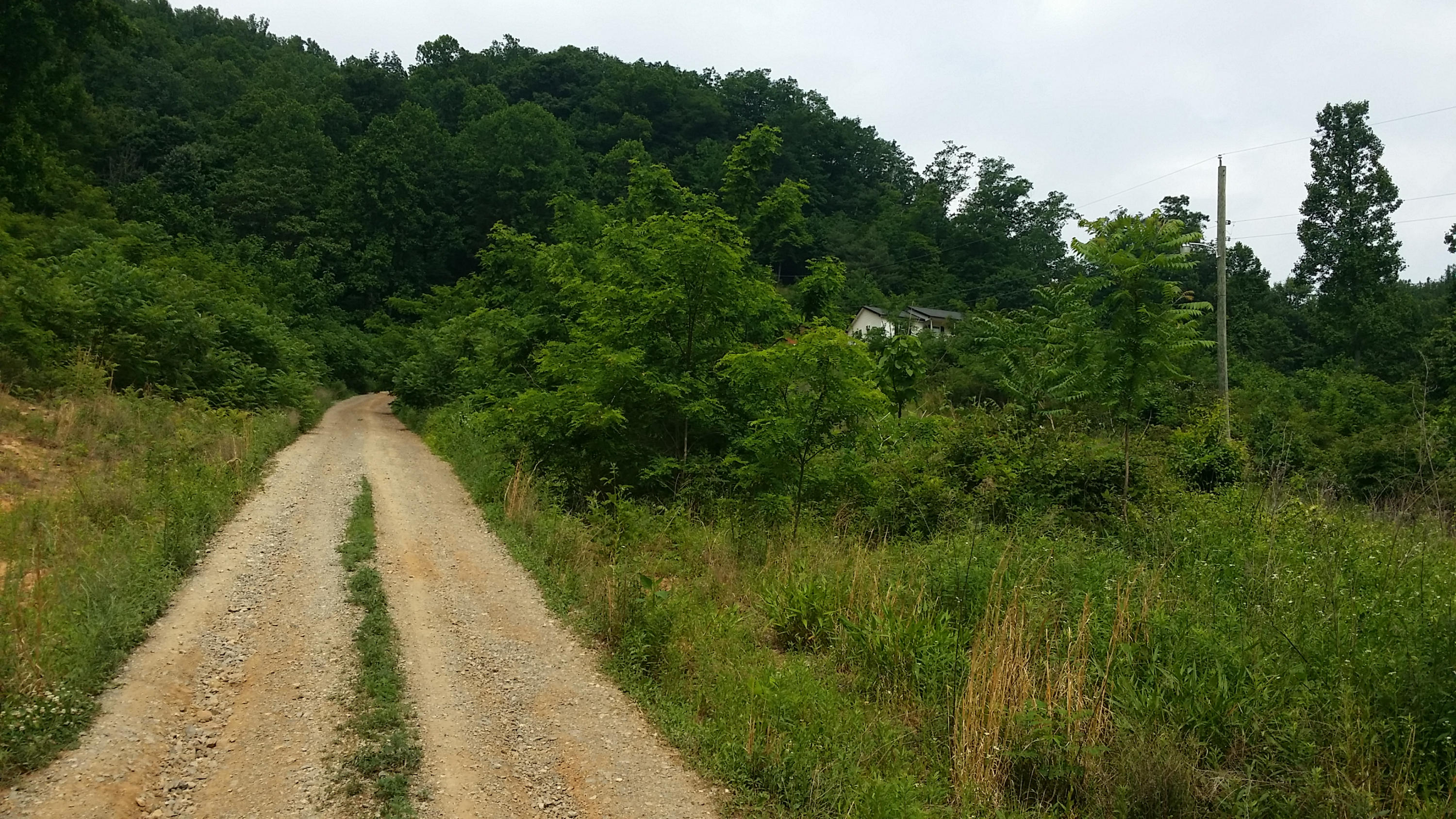 1425 Adney Gap Road Callaway, VA 24067 - Photo 10 of 35 a view of a lake with a park