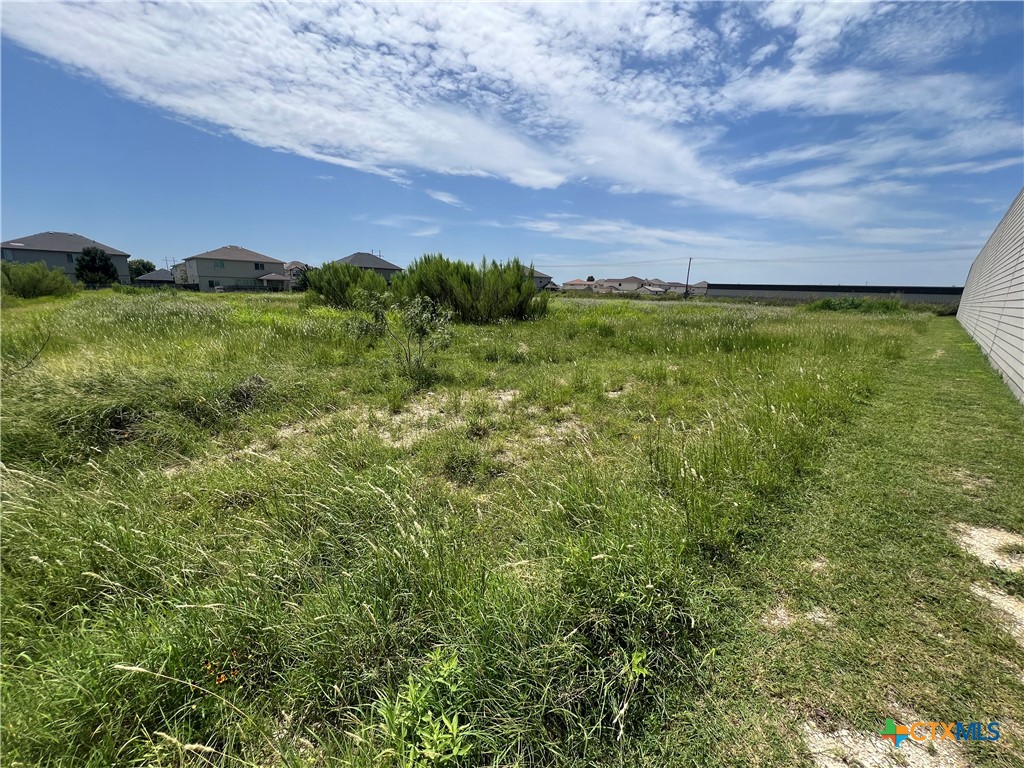 4510 Rose Gdn Loop, Unit 4810 Killeen, TX 76542 - Photo 2 of 7 a view of a city with lush green forest