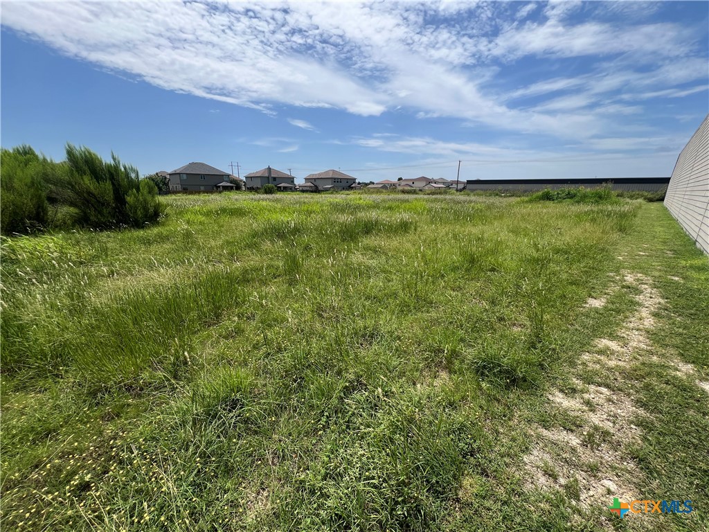 4510 Rose Gdn Loop, Unit 4810 Killeen, TX 76542 - Photo 3 of 7 a view of a large yard with lots of green space