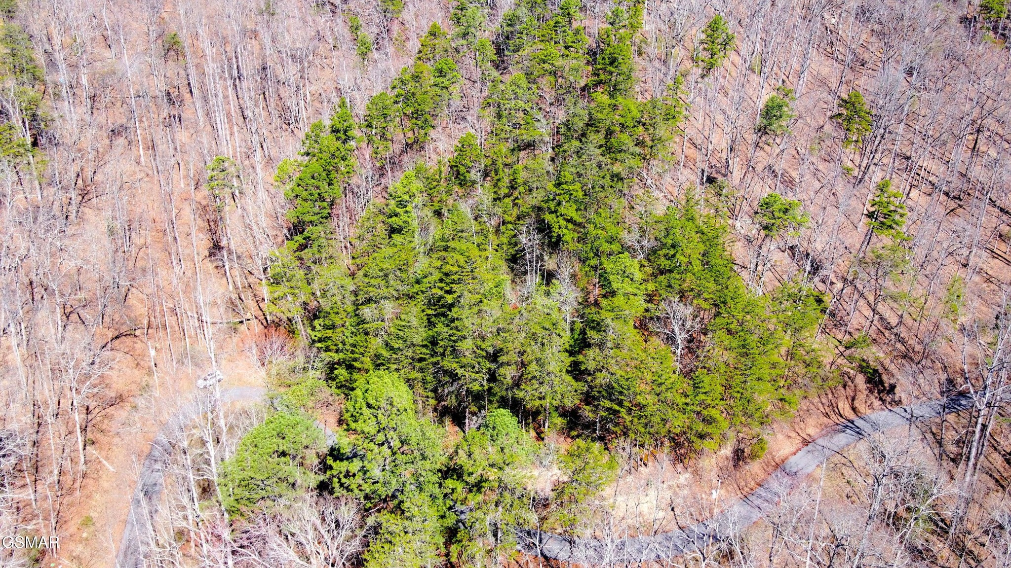 4 Walden Ridge Road Sevierville, TN 37862 - Photo 2 of 20 Gallery Image 2
