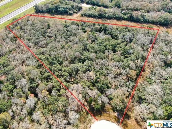 an aerial view of forest