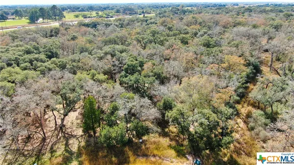a view of a field with a tree