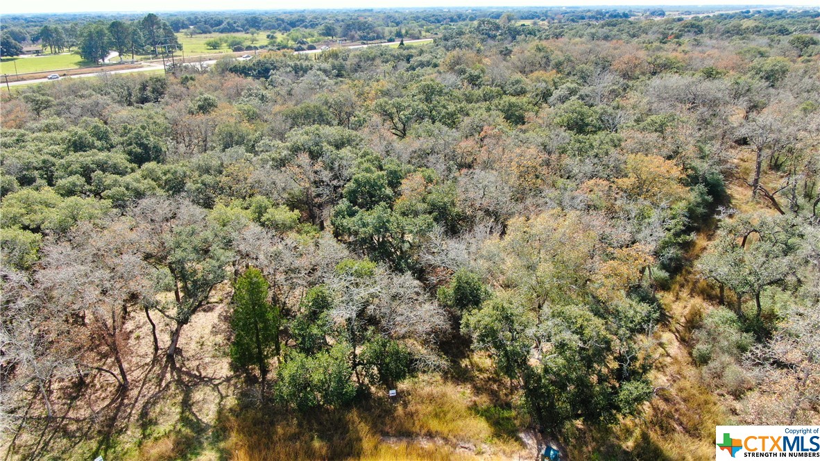 201 Post Oak Bend Inez, TX 77968 - Photo 3 of 4 an aerial view of forest