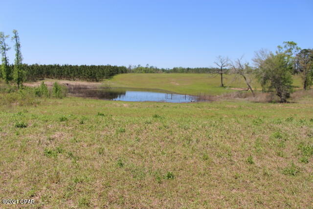 13126 County Line Road Fountain, FL 32438 - Photo 30 of 45 Gallery Image 30
