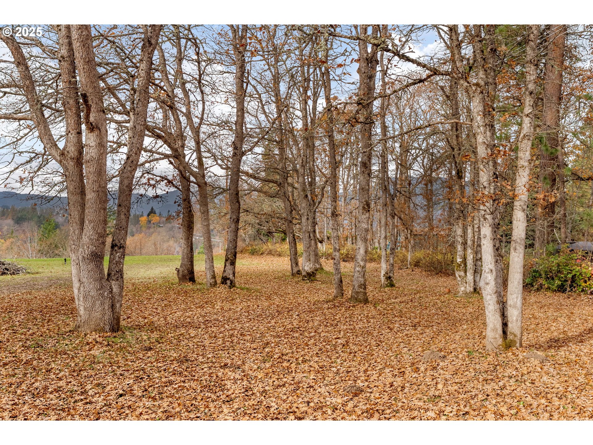 710 Highline Road Hood River, OR 97031 - Photo 33 of 36 a backyard of a house with lots of green space
