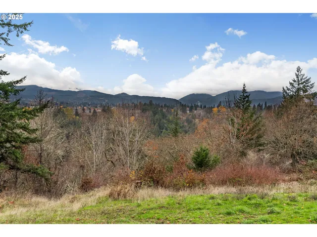 a view of a lake with a mountain in the background