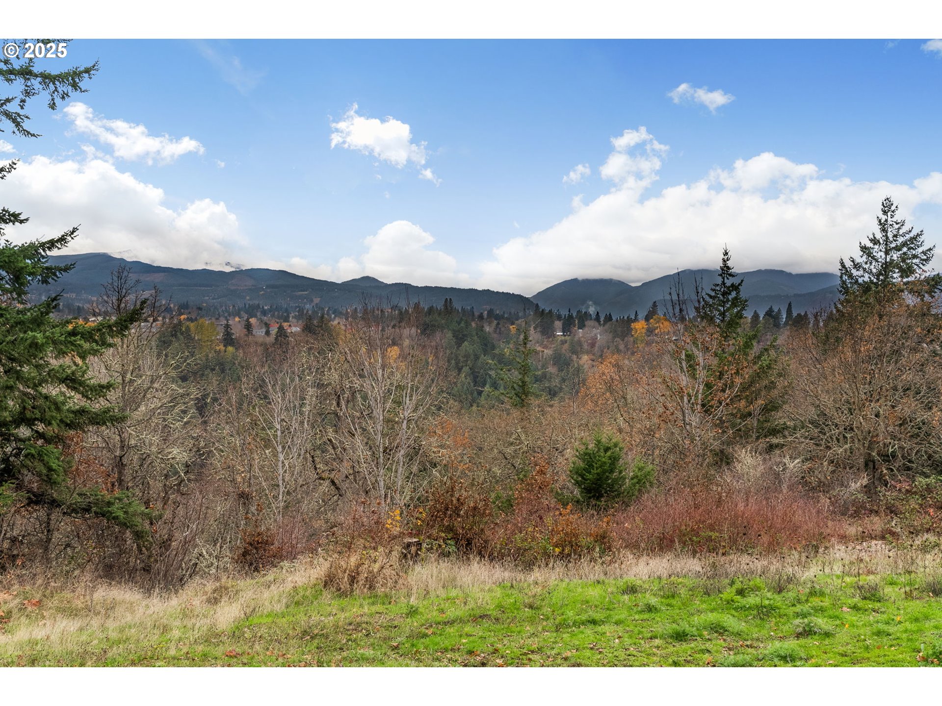 710 Highline Road Hood River, OR 97031 - Photo 35 of 36 a view of a lake with a mountain in the background