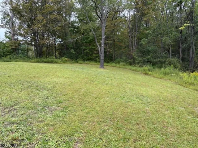 a view of a field with trees in the background