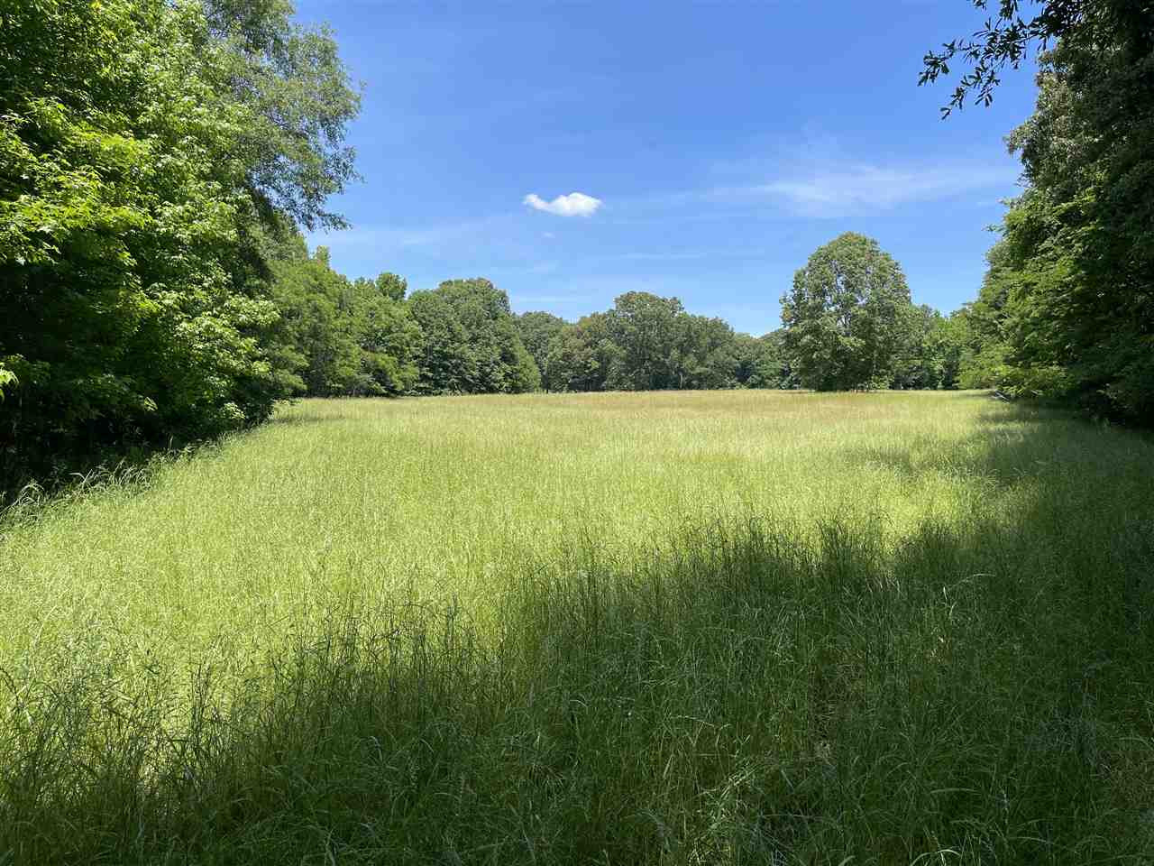 0 Redmond Road Benton, MS 39039 - Photo 38 of 50 Photo 38