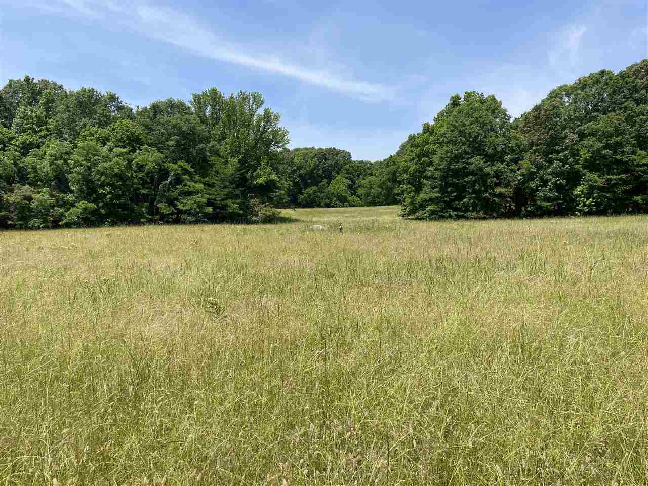 0 Redmond Road Benton, MS 39039 - Photo 39 of 50 Photo 39