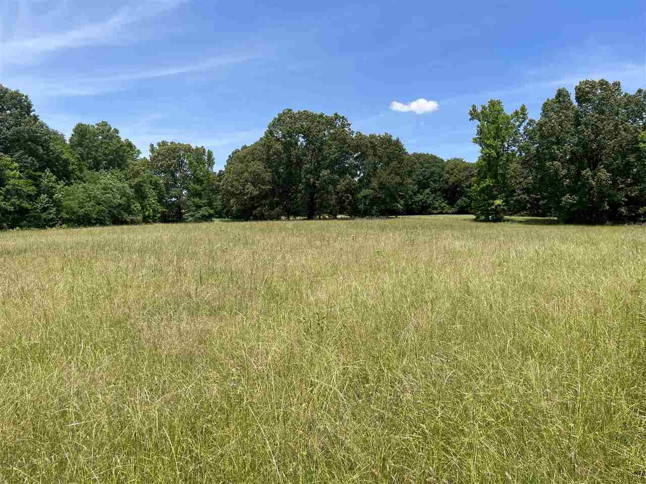 0 Redmond Road Benton, MS 39039 - Photo 40 of 50 Photo 40