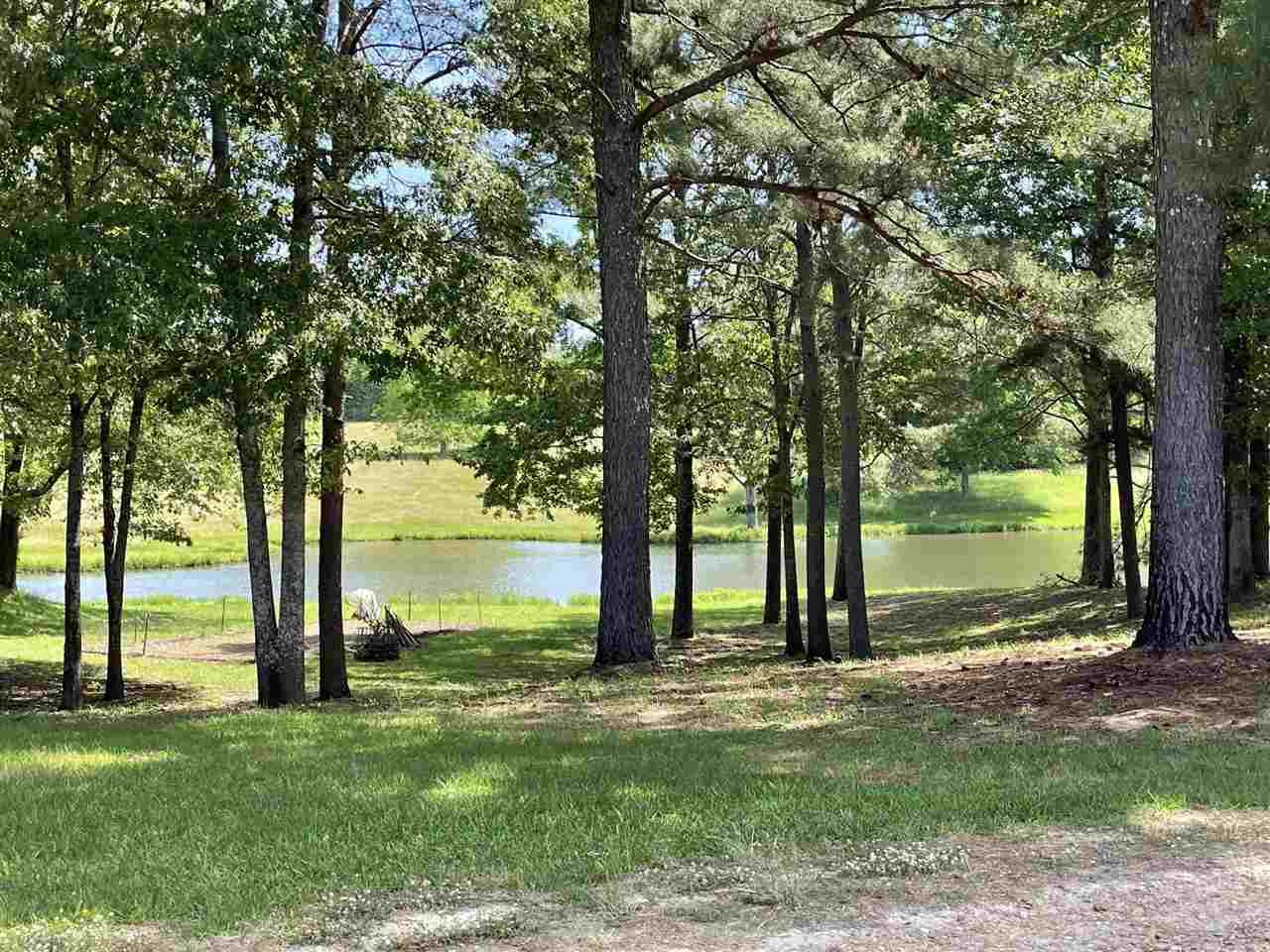 0 Redmond Road Benton, MS 39039 - Photo 4 of 50 Photo 4