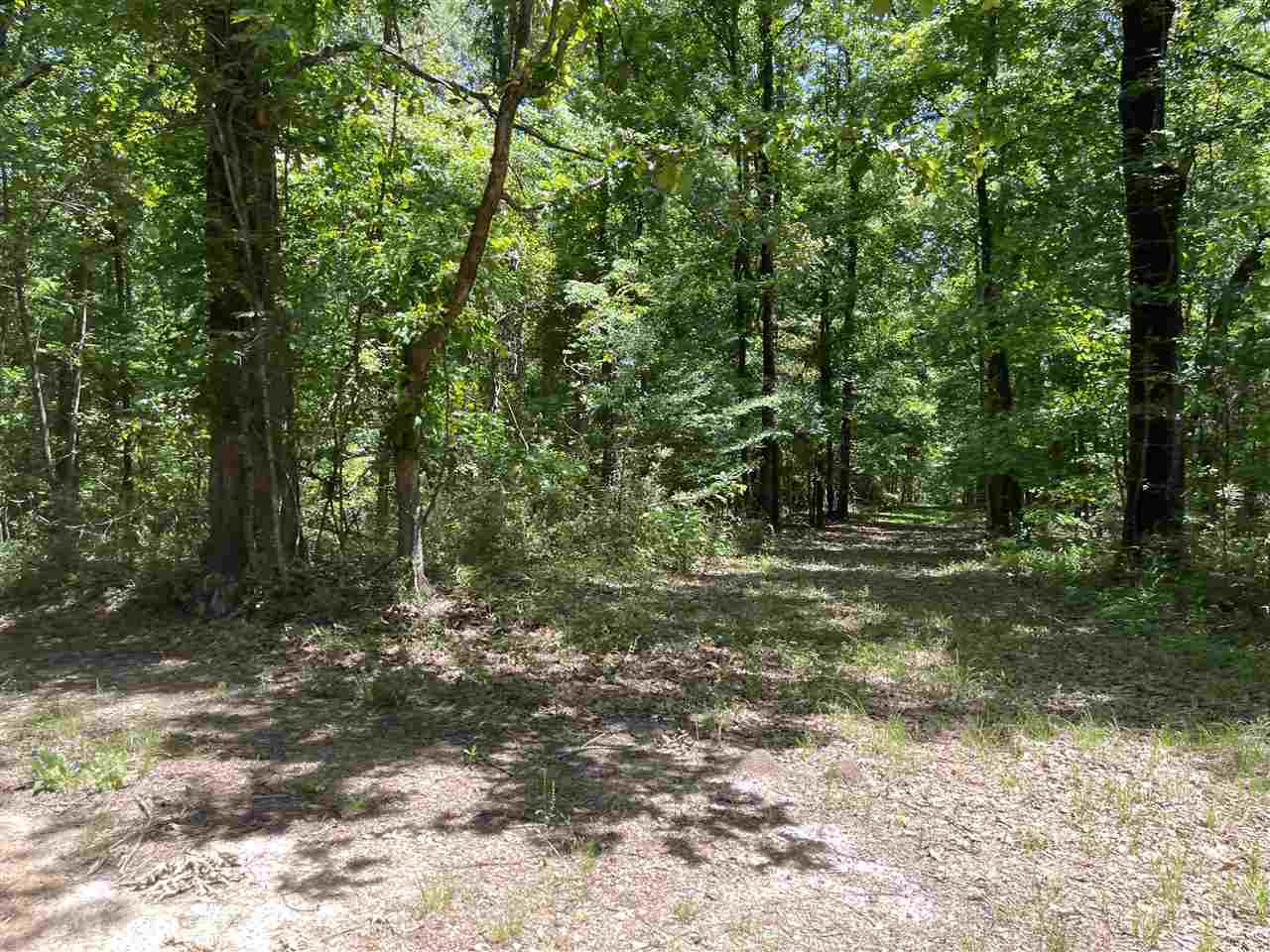 0 Redmond Road Benton, MS 39039 - Photo 41 of 50 Photo 41