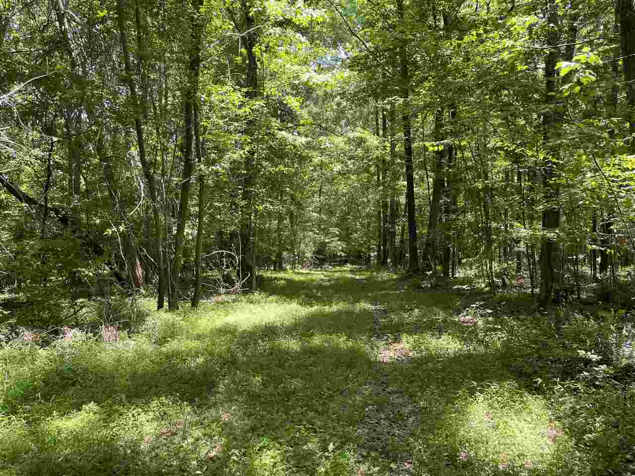 0 Redmond Road Benton, MS 39039 - Photo 42 of 50 Photo 42