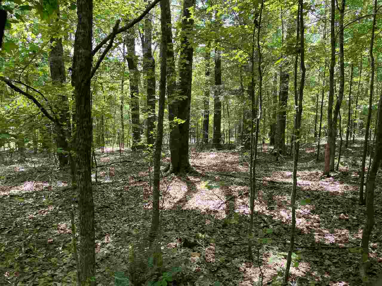 0 Redmond Road Benton, MS 39039 - Photo 43 of 50 Photo 43