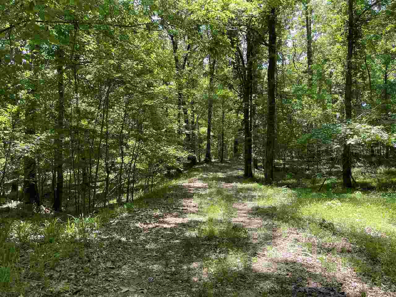 0 Redmond Road Benton, MS 39039 - Photo 44 of 50 Photo 44