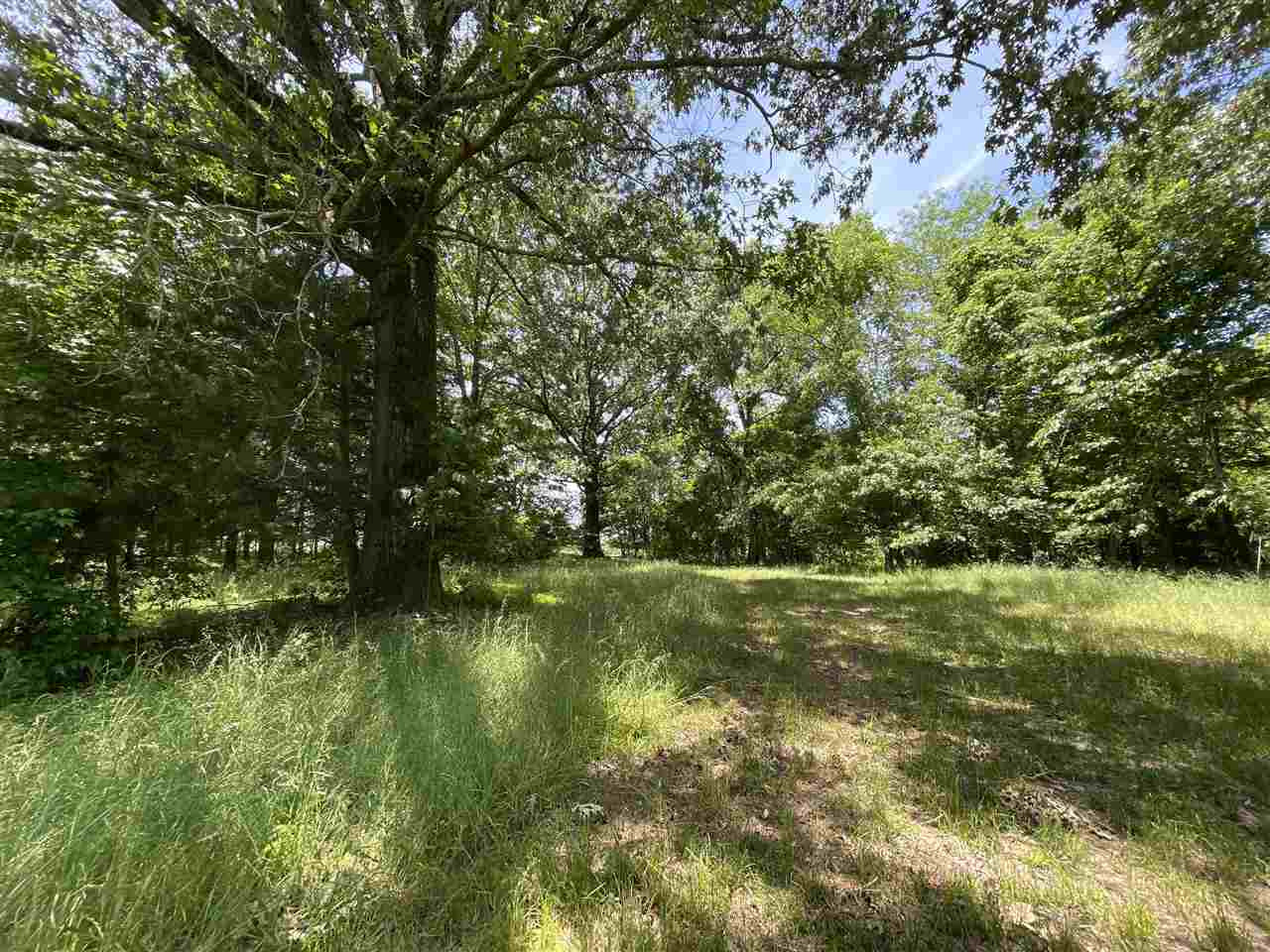 0 Redmond Road Benton, MS 39039 - Photo 45 of 50 Photo 45