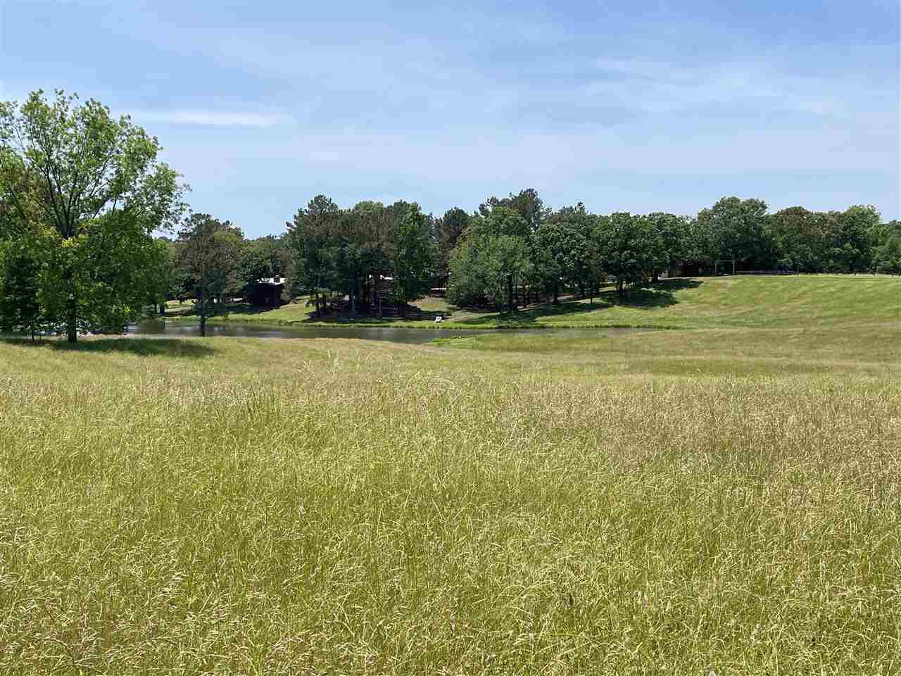 0 Redmond Road Benton, MS 39039 - Photo 46 of 50 Photo 46