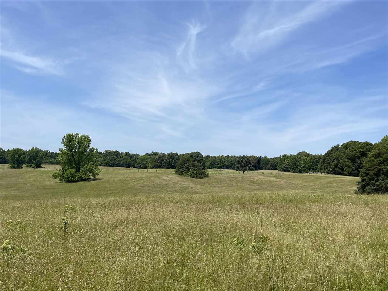 0 Redmond Road Benton, MS 39039 - Photo 48 of 50 Photo 48