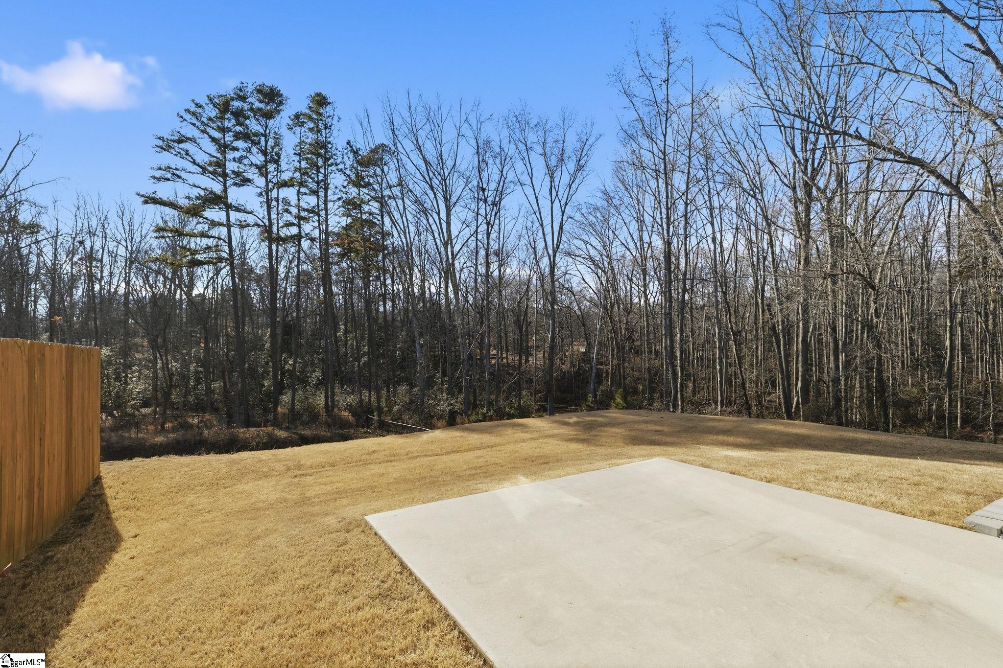 121 Wheaton Court Simpsonville, SC 29680 - Photo 4 of 47