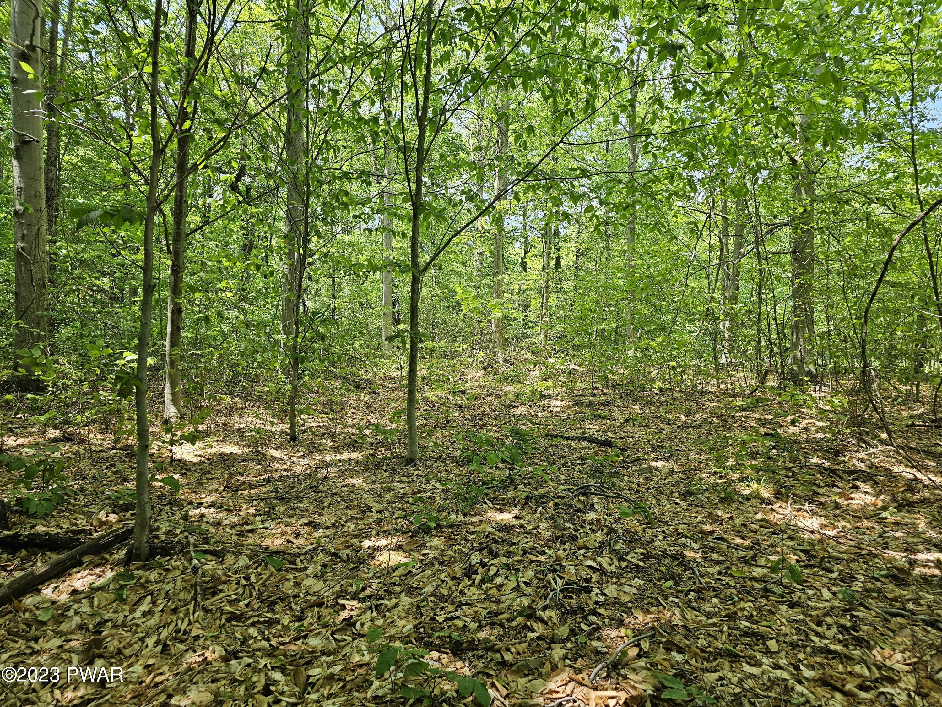 Lot 69 Stonegate Road Equinunk, PA 18417 - Photo 9 of 29