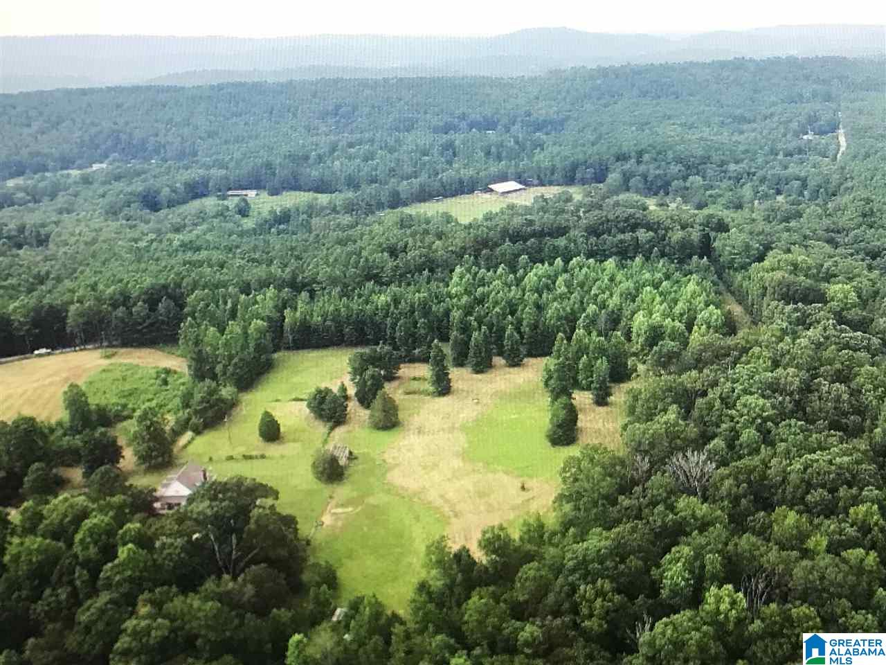 626 Smith Road Oneonta, AL 35121 - Photo 6 of 47