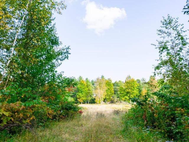On Fish Hatchery Road White Lake, WI 54491 - Photo 1 of 1