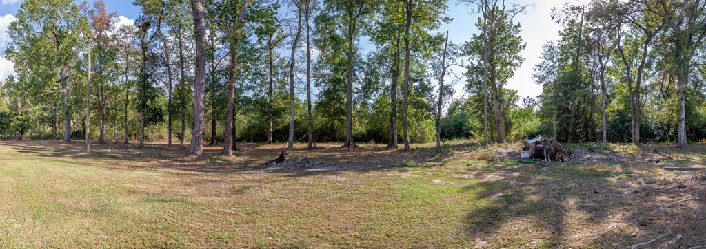 30 Sowell Road Dothan, AL 36301 - Photo 4 of 24