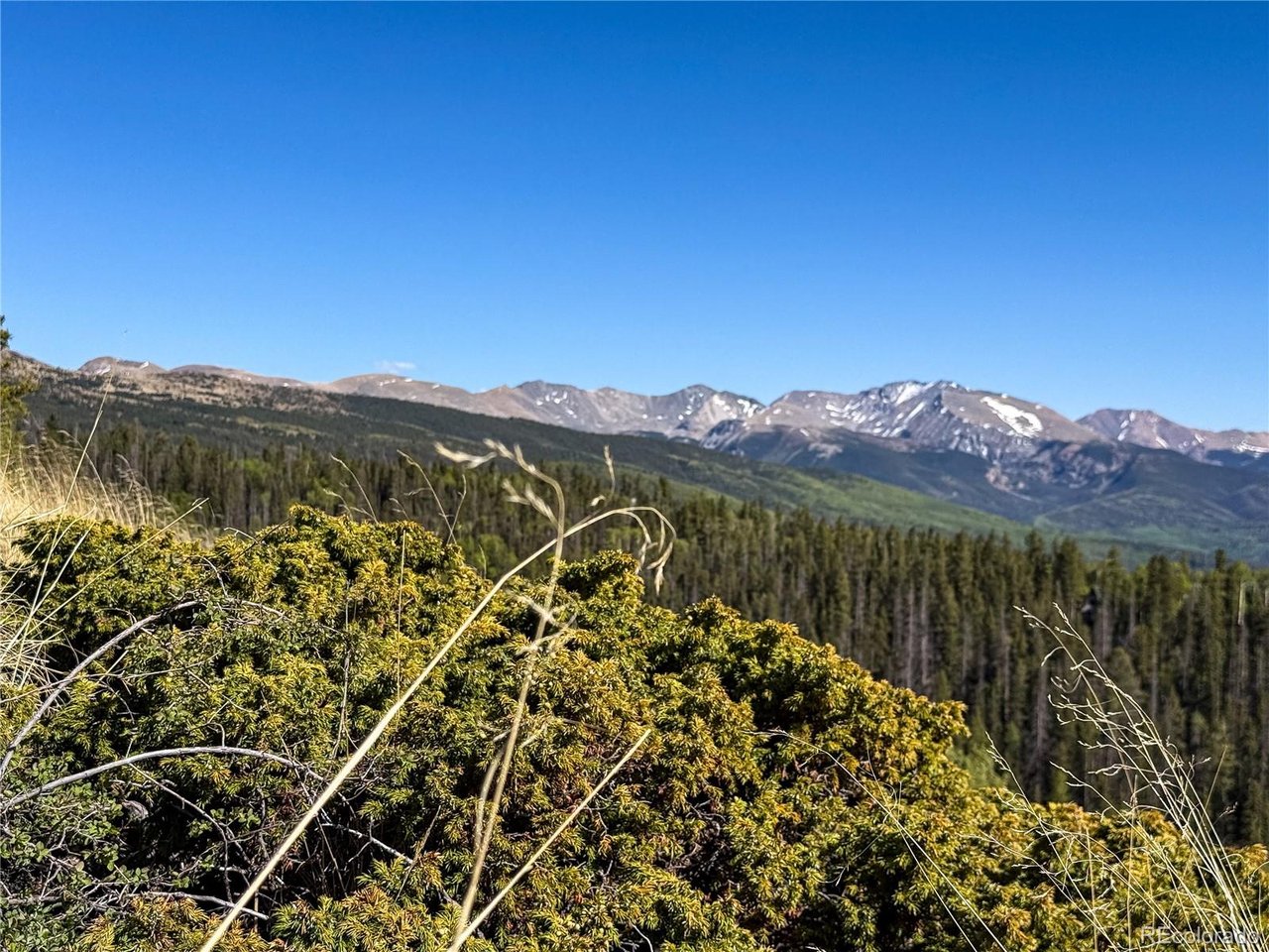 6829 Ryland Road San Luis, CO 81152 - Photo 11 of 28 a view of a mountain with a garden