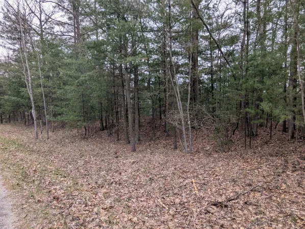 $16,500 | 0 West Crooked Lake Road, Lake City, MI 49651