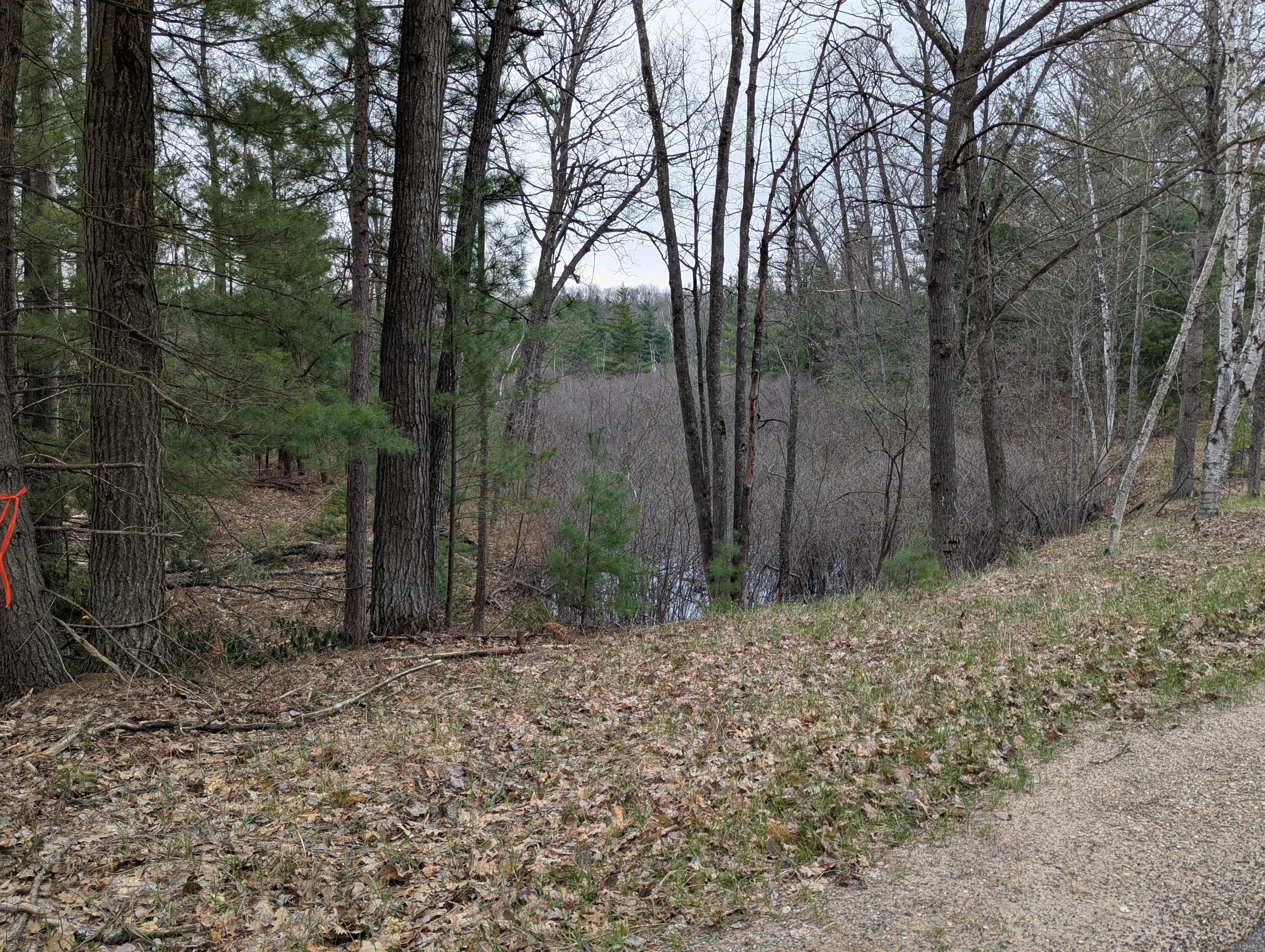 0 West Crooked Lake Road Lake City, MI 49651 - Photo 3 of 10 1000004097