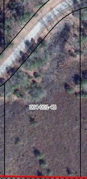 0 West Crooked Lake Road Lake City, MI 49651 - Photo 4 of 10 Brewster Parcel