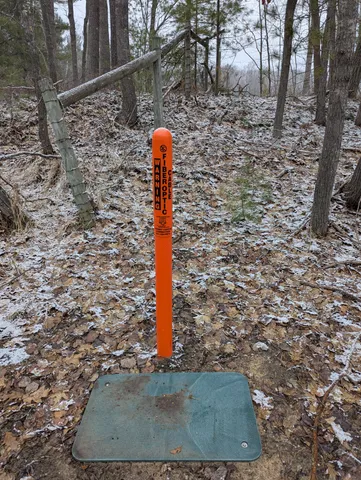 $20,000 | 0 West Crooked Lake Road, Lake City, MI 49651