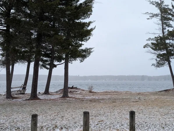 $20,000 | 0 West Crooked Lake Road, Lake City, MI 49651