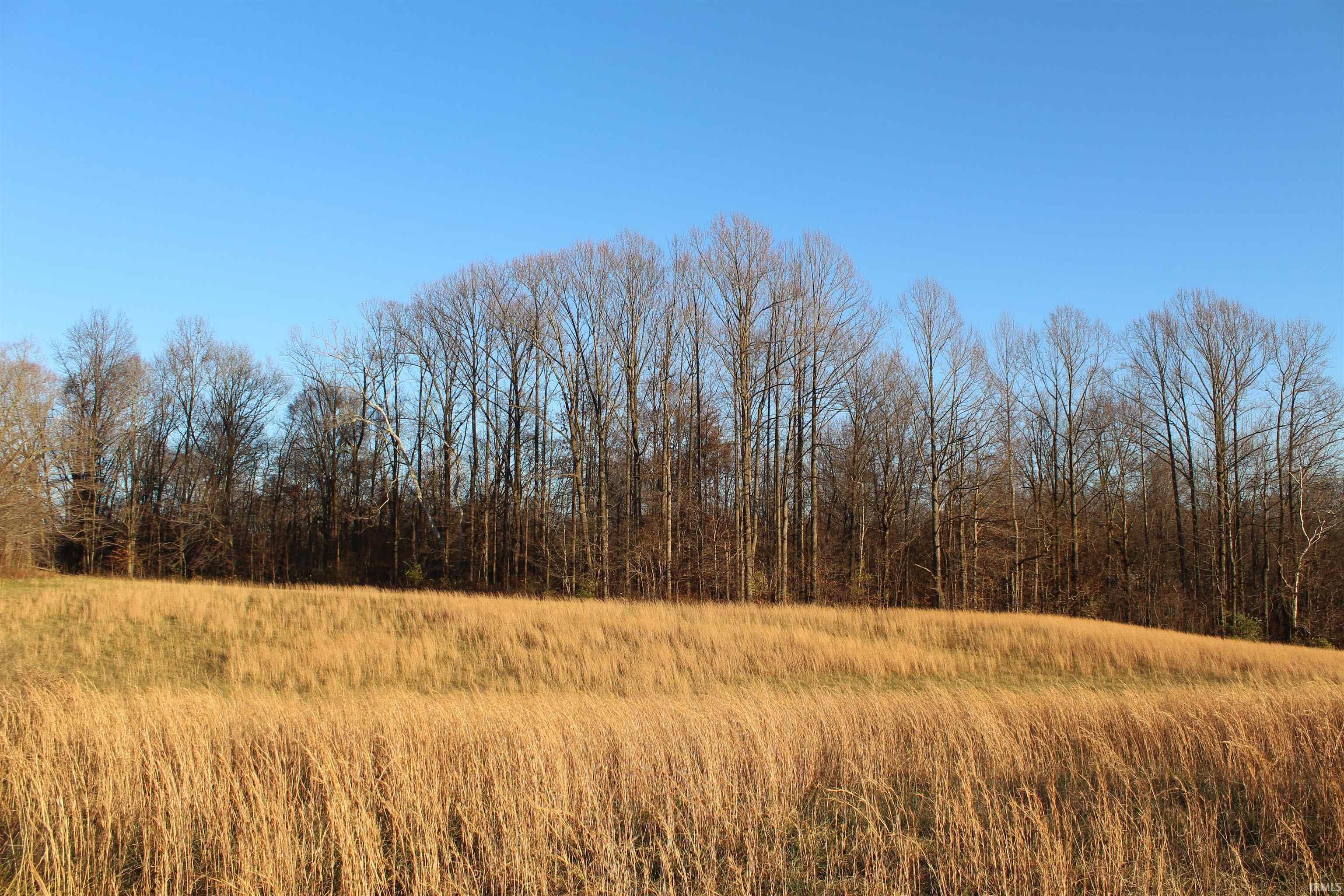 7860 Moore Road Gosport, IN 47433 - Photo 6 of 9