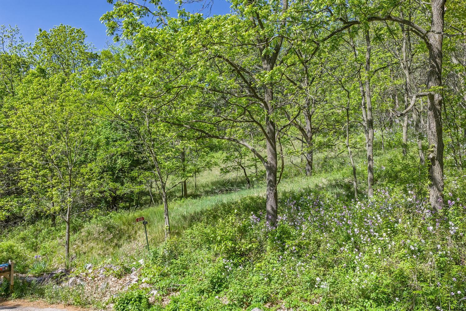 N2301 Cactus Acres Lodi, WI 53555 - Photo 17 of 17