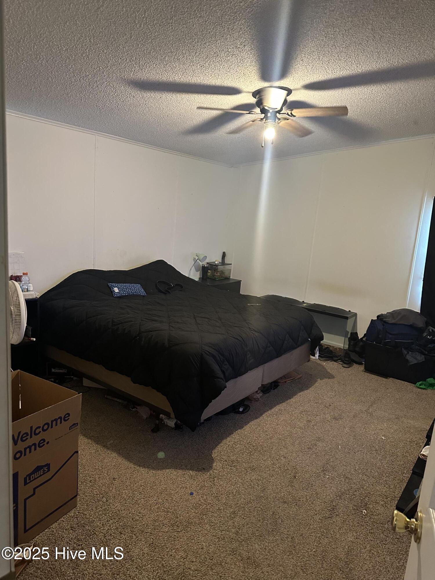 7118 Green Forest Road Lucama, NC 27851 - Photo 9 of 14 IMG_6009