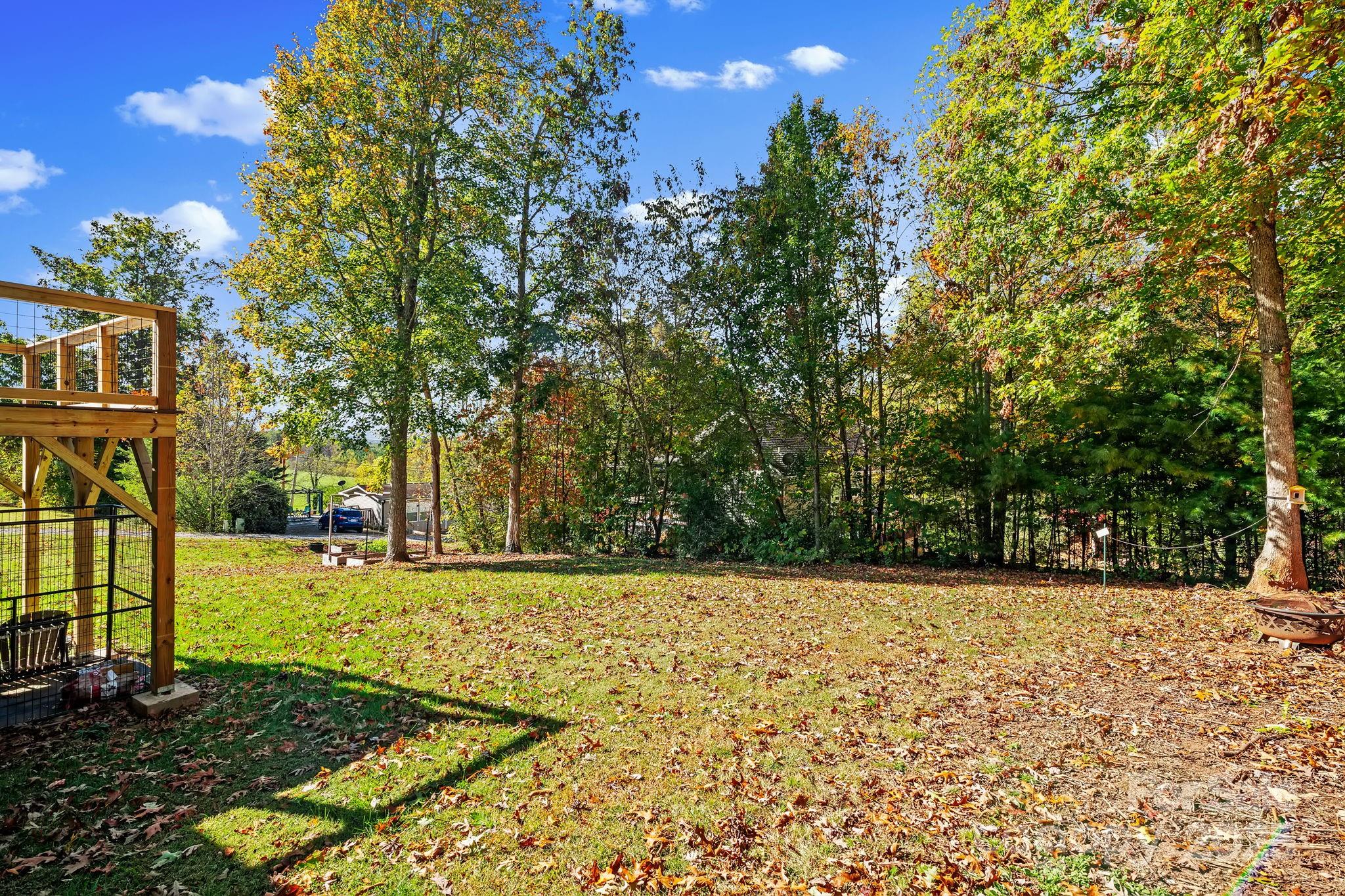 5 Damascus Road Alexander, NC 28701 - Photo 29 of 34
