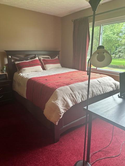 602 Hibbs Road Grove City, OH 43123 - Photo 34 of 50 carpet