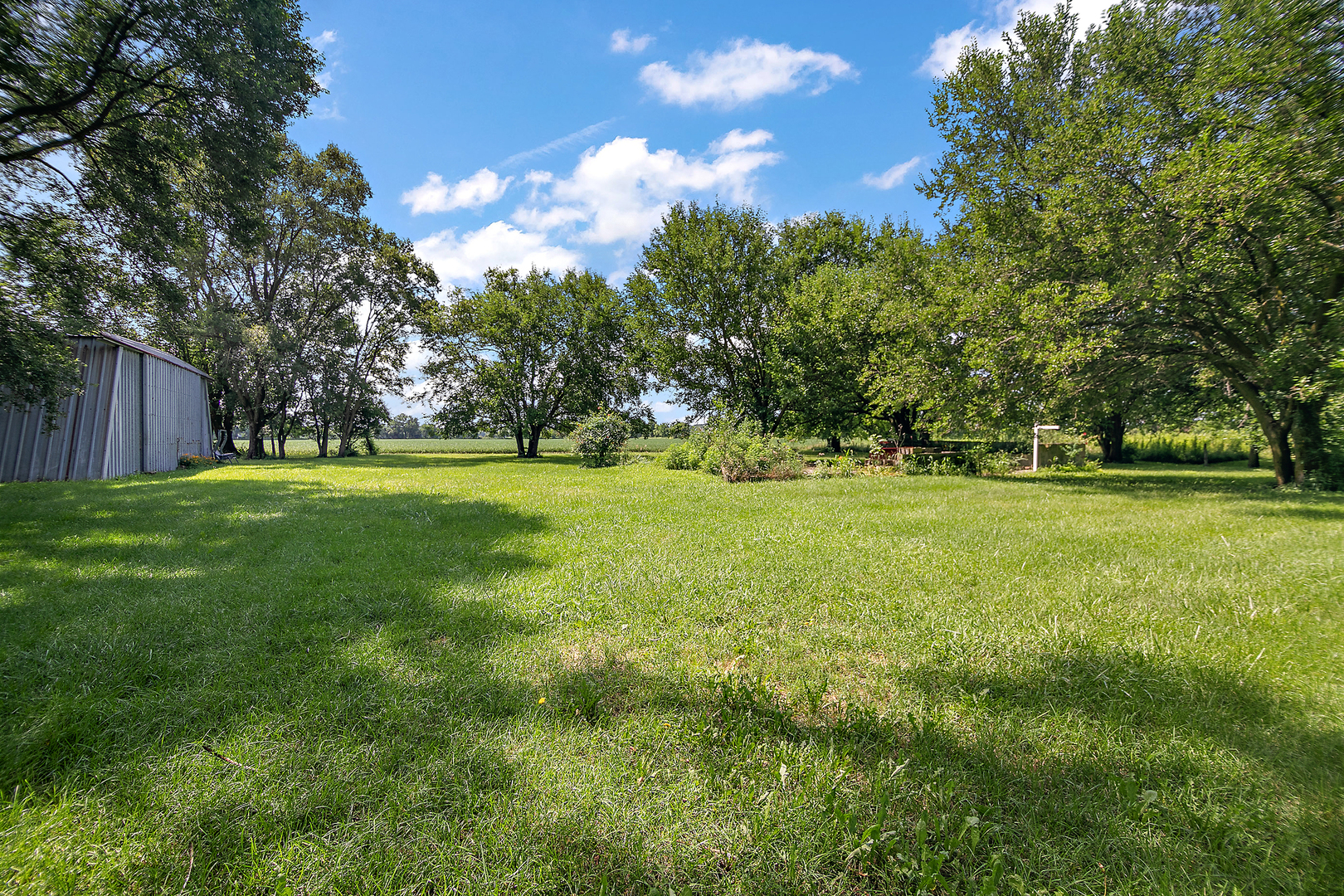 1757 East 3000 North Road Martinton, IL 60951 - Photo 18 of 33 a view of a park with large trees