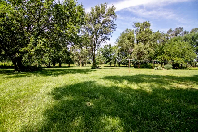 a view of a park with large trees