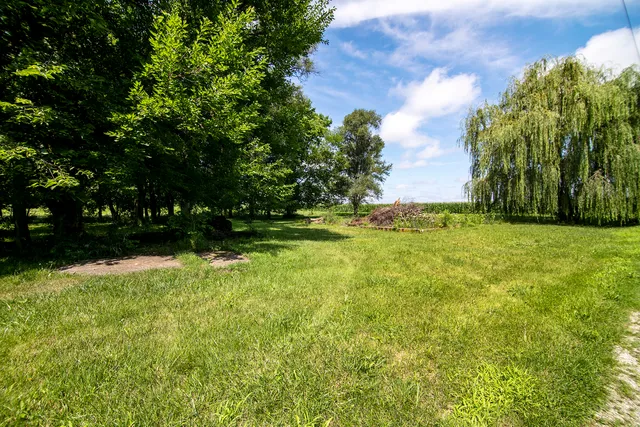 a view of yard with trees
