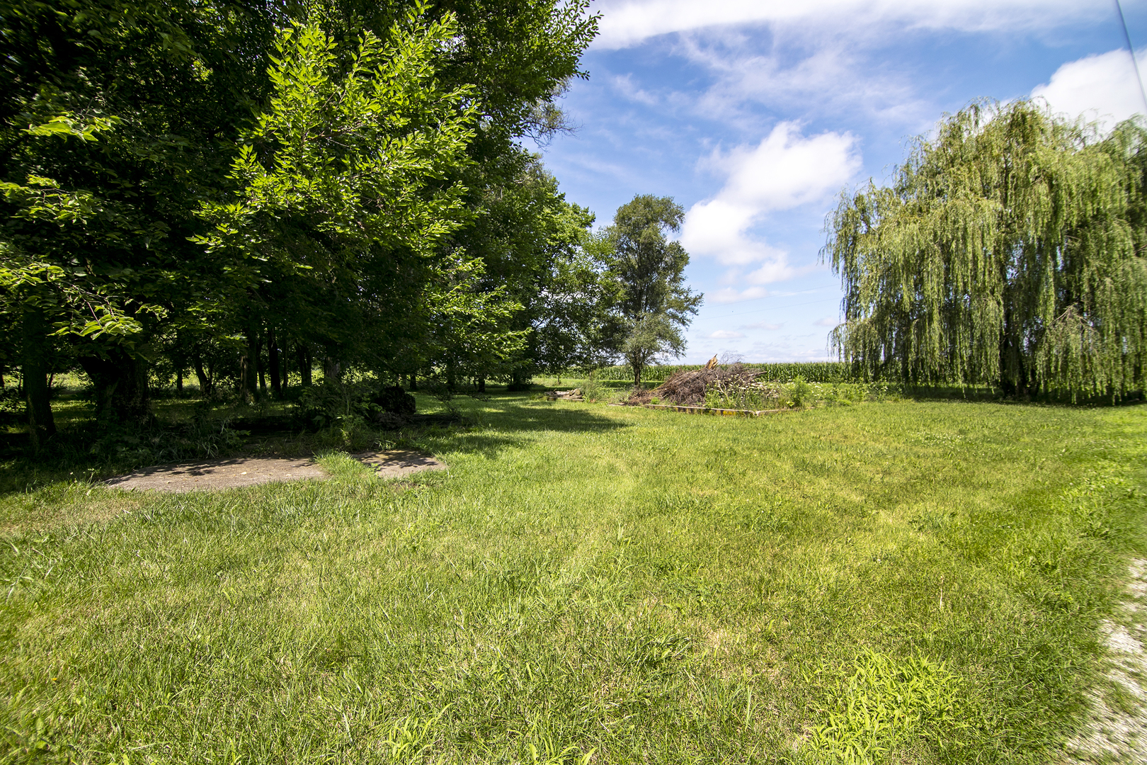 1757 East 3000 North Road Martinton, IL 60951 - Photo 23 of 33 a view of yard with trees