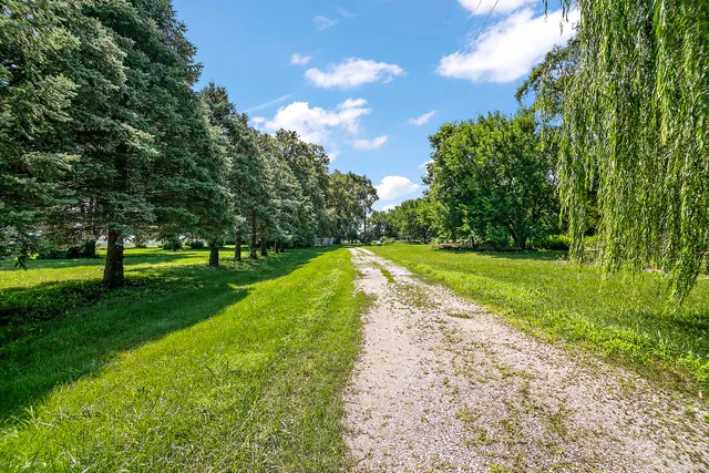 a view of a park with large trees