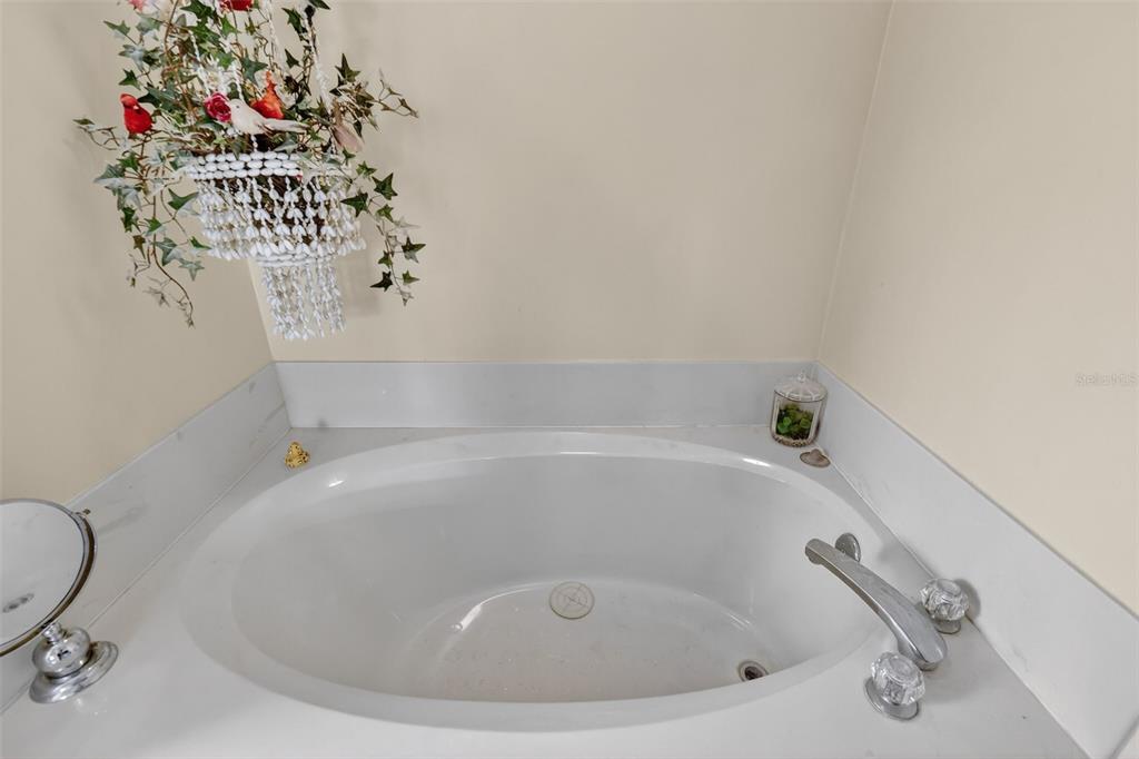 562 Hassocks Loop Lake Mary, FL 32746 - Photo 26 of 34 a bathroom with a tub and a shower